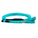 Cabo MPO Fêmea para 4LC/UPC 5m, 8 Fibras Duplex, OM3 G651.1 50/125 Multimodo, Tipo B LSZH Aqua Breakout - INSTRUFIBER