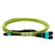Cabo MPO Fêmea para 2-MPO Fêmea 5m, 16 Fibras para 2x8F, OM5 G651.1 50/125 Multimodo, Tipo B LSZH Verde Breakout - INSTRUFIBER