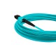 Cabo MPO para MPO Fêmea 10m, 12 Fibras OM3 G651.1 50/125 Multimodo, Tipo B LSZH Agua - INSTRUFIBER