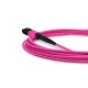 Cabo MPO para MPO Fêmea 5m, 12 Fibras, OM4 G651.1 50/125 Multimodo, Tipo B LSZH Magenta - INSTRUFIBER