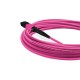 Cabo MPO para MPO Fêmea 10m, 12 Fibras, OM4 G651.1 50/125 Multimodo, Tipo B LSZH Magenta - INSTRUFIBER