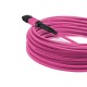 Cabo MPO para MPO Fêmea 30m, 12 Fibras OM4 G651.1 50/125 Multimodo, Tipo B LSZH Magenta - INSTRUFIBER